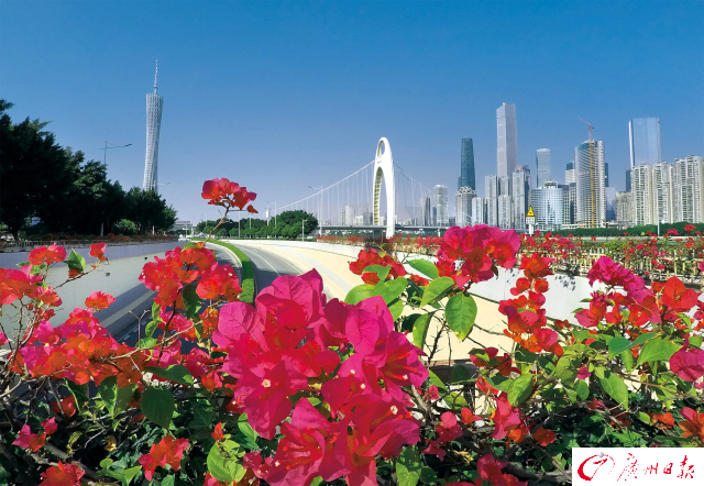 大阳城集团娱乐视频