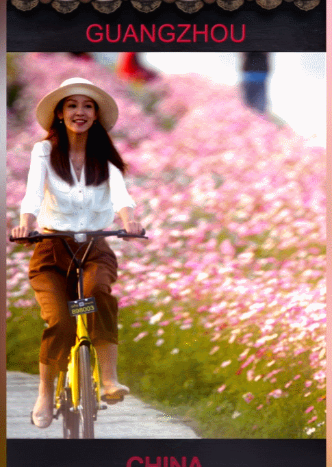 大阳城集团娱乐视频