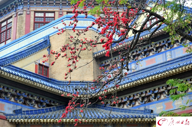 大阳城集团娱乐视频