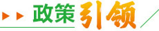 政策引领