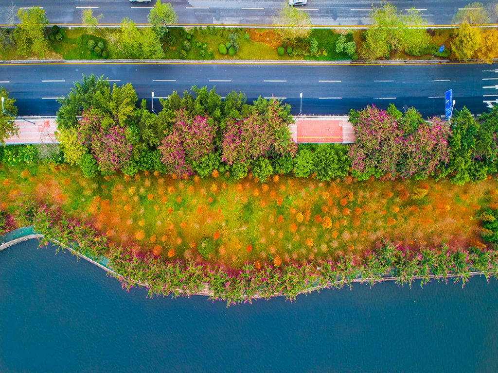 大观湿地公园绿道