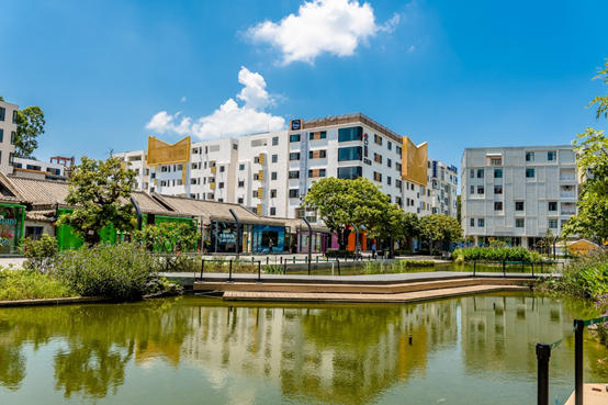 大阳城集团娱乐视频