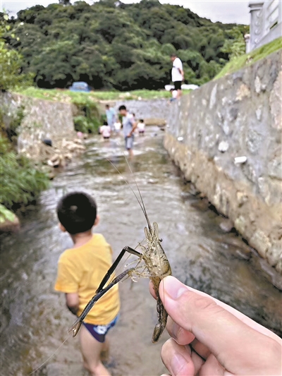 大阳城集团娱乐视频