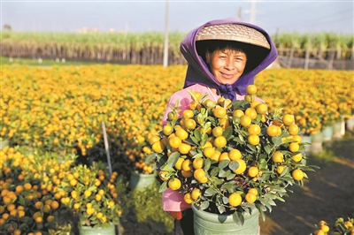 大阳城集团娱乐视频