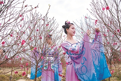 大阳城集团娱乐视频