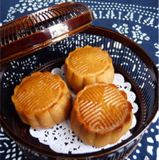 大阳城集团娱乐视频