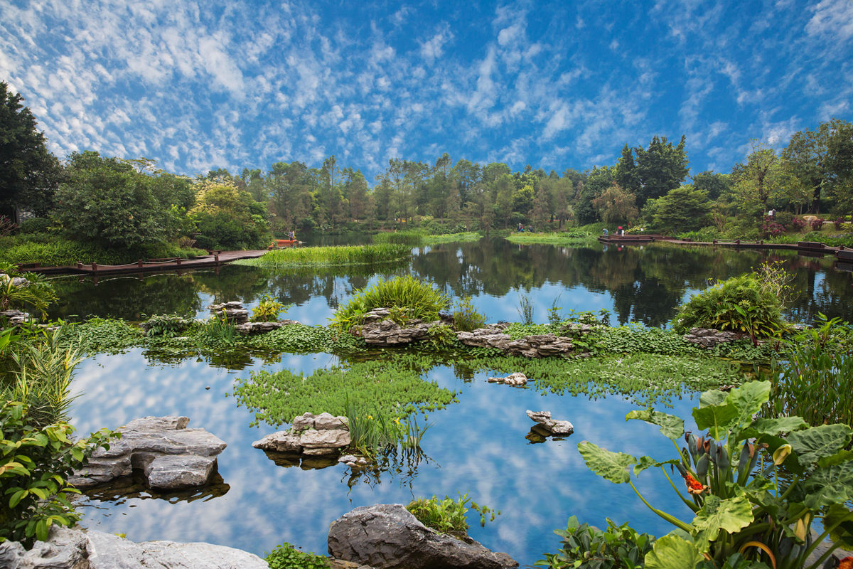 纵论城市治理之道 世界为何选择广州