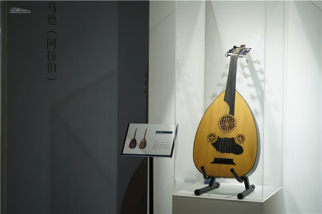 大阳城集团娱乐视频