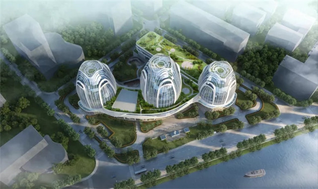 大阳城集团娱乐视频