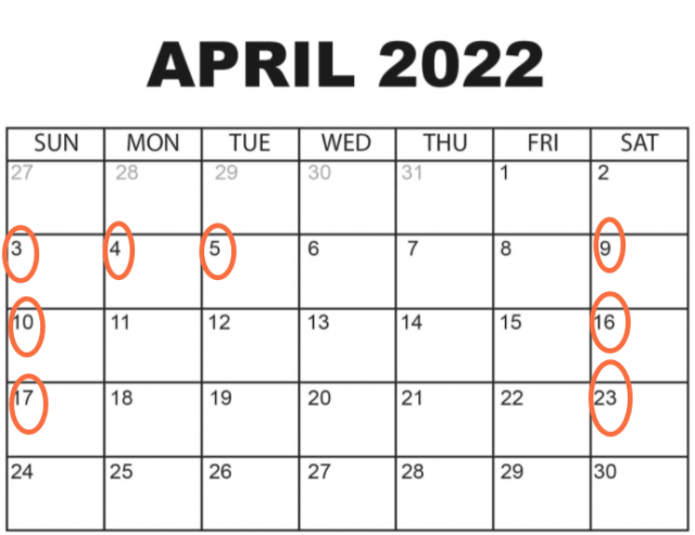 大阳城集团娱乐视频