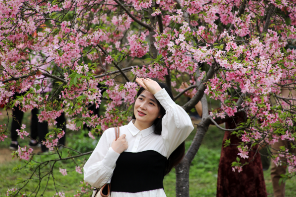 大阳城集团娱乐视频