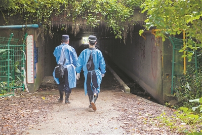 为了9户菜农生计 他们留出这条“民生小道”2.jpg