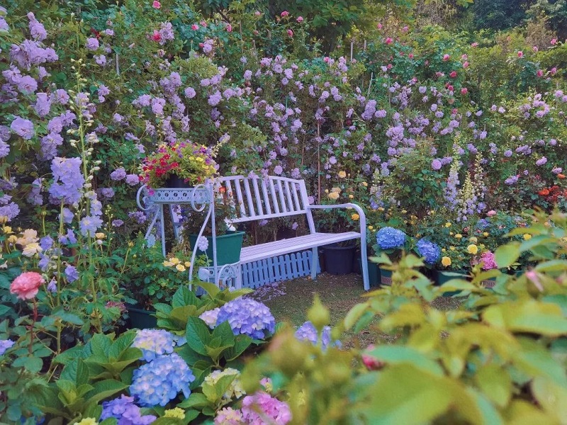 这个母亲节，带上亲爱的妈妈来云台花园赏花吧！