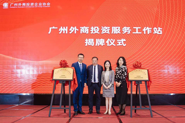 大阳城集团娱乐视频