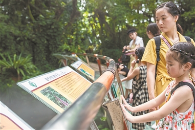 讲好中国植物故事 彰显生物多样性魅力13.jpg