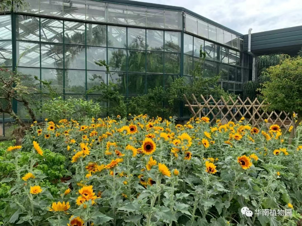 大阳城集团娱乐视频