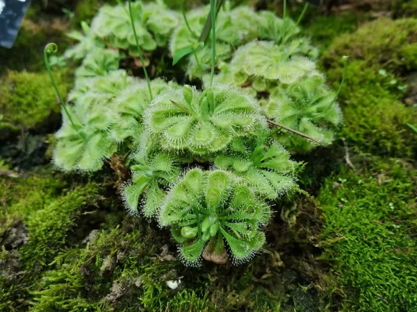 大阳城集团娱乐视频