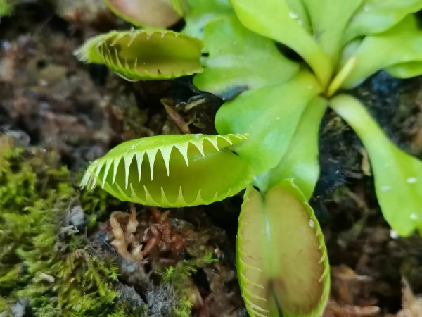 大阳城集团娱乐视频