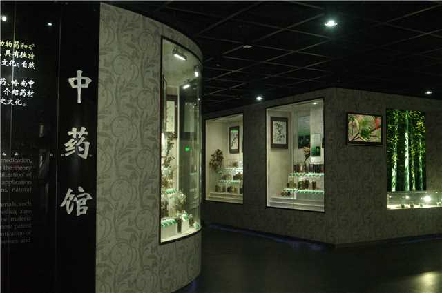 大阳城集团娱乐视频