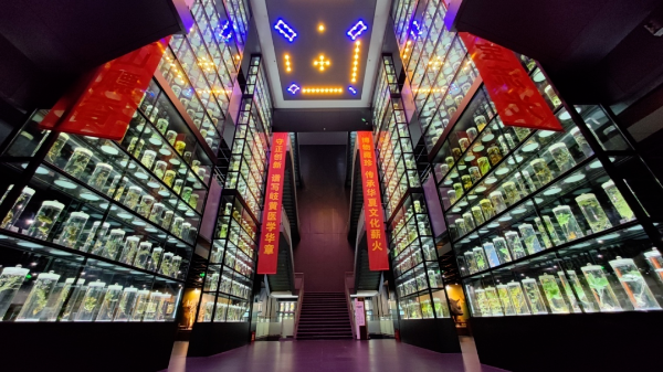 大阳城集团娱乐视频