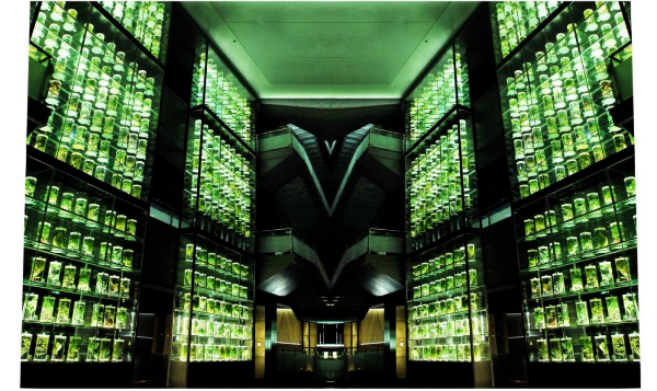 大阳城集团娱乐视频