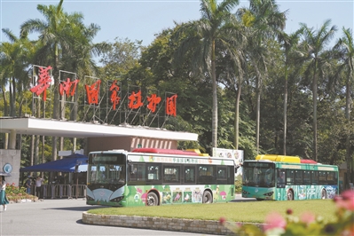 打造自然课堂和身边植物园