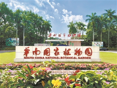 擦亮华南国家植物园这颗“绿宝石”