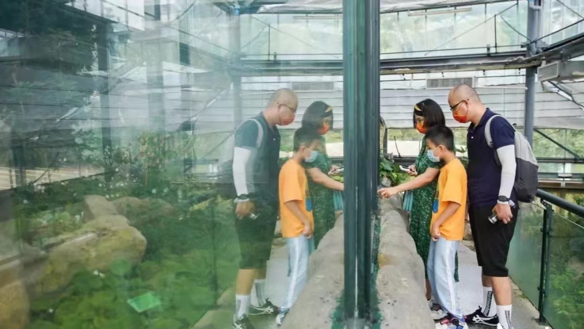 城在园中 人在画中