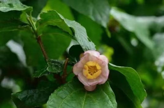 在家门口开启科普之旅