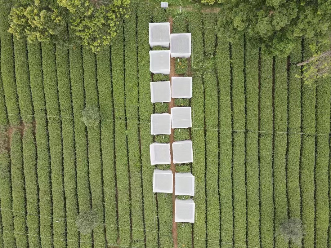 “植”根科研 青春“园”梦