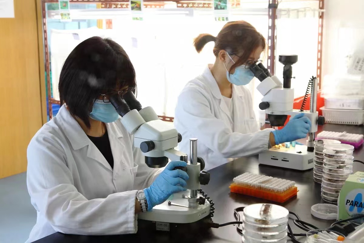 科技“花开” 满城“结果”