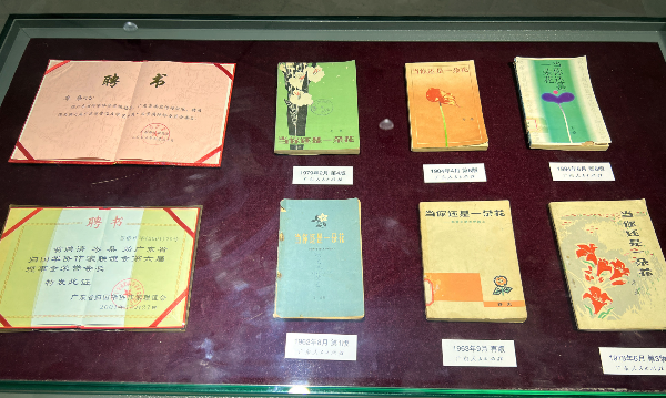 大阳城集团娱乐视频