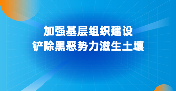 加强基层组织建设 铲除黑恶势力滋生土壤