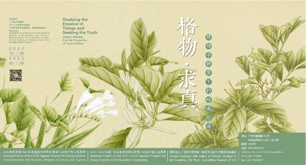 大阳城集团娱乐视频