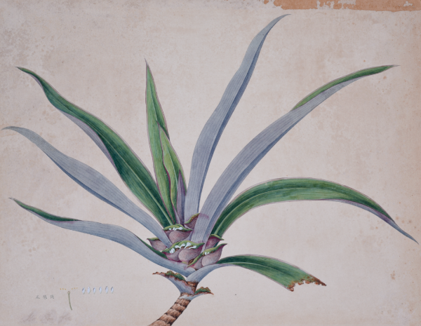 大阳城集团娱乐视频