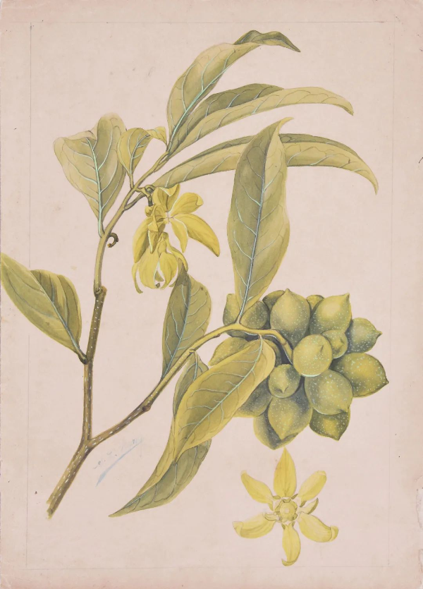 大阳城集团娱乐视频