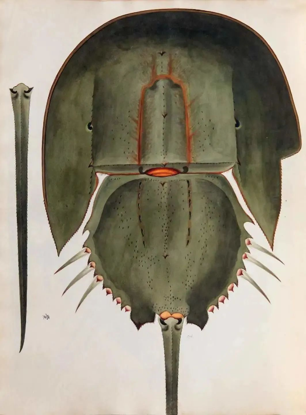 大阳城集团娱乐视频