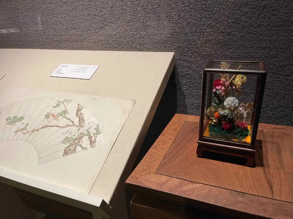 大阳城集团娱乐视频