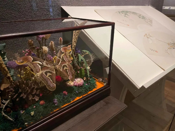 大阳城集团娱乐视频