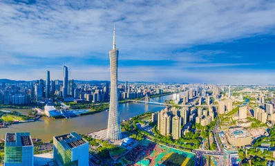 市人大代表万欢：拥堵时司机不应“闯绿灯”