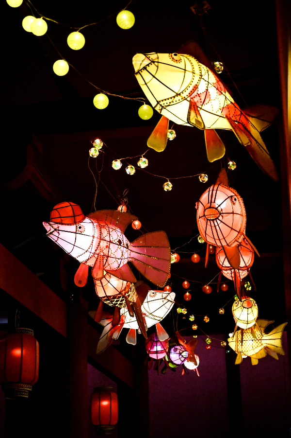 大阳城集团娱乐视频