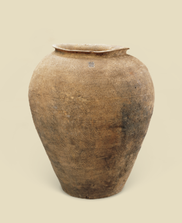 大阳城集团娱乐视频