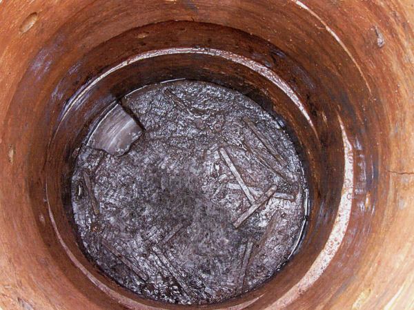 大阳城集团娱乐视频