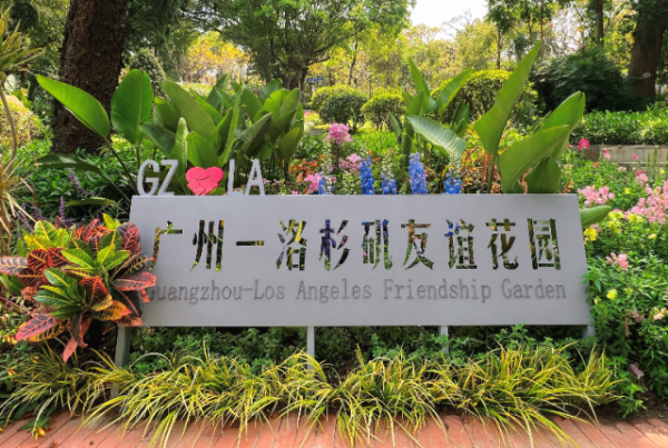 大阳城集团娱乐视频