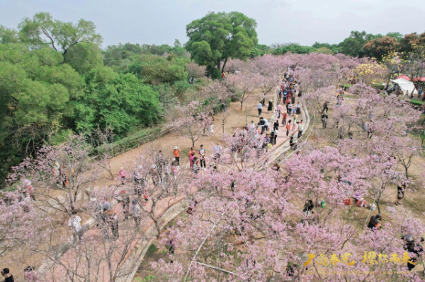 大阳城集团娱乐视频