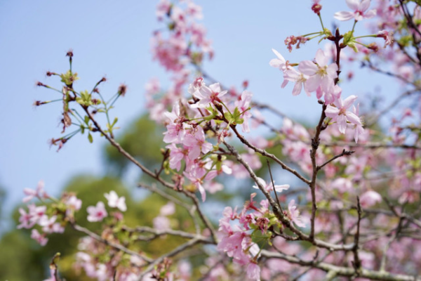 大阳城集团娱乐视频