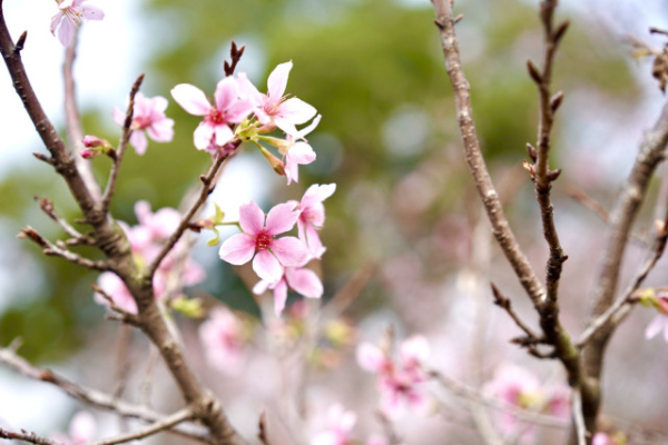 大阳城集团娱乐视频