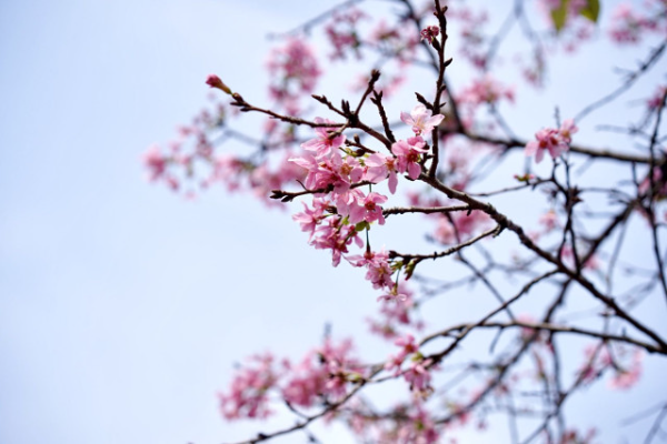 大阳城集团娱乐视频