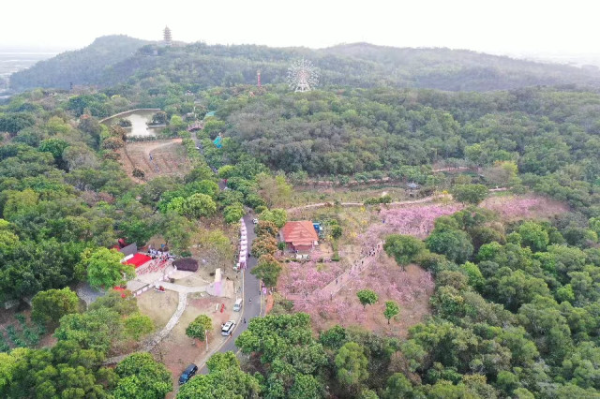 大阳城集团娱乐视频