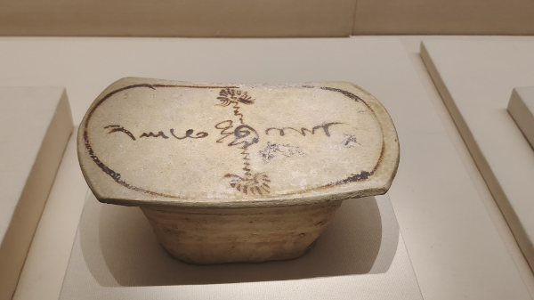 大阳城集团娱乐视频